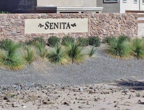 Senita Click HERE to View Listings