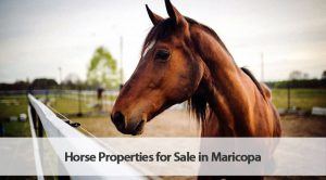 horse properties sale maricopa