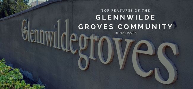 top features of the glennwilde groves community in maricopa