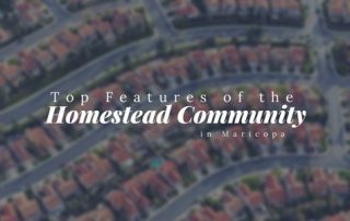 Top Features of The Homestead Community in Maricopa