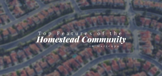 Top Features of The Homestead Community in Maricopa