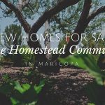 new homes for sale in the homestead community in maricopa