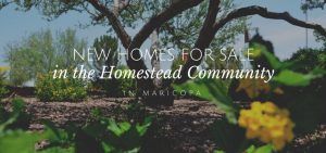 new homes for sale in the homestead community in maricopa