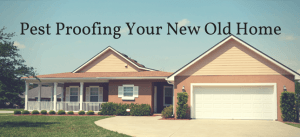 Pest Proofing Your New Old Home