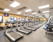 Get In Shape In The Fitness Centers In Province, Maricopa