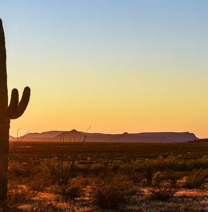 greater-maricopa.BmdcMLSK_Z1yD7Bj